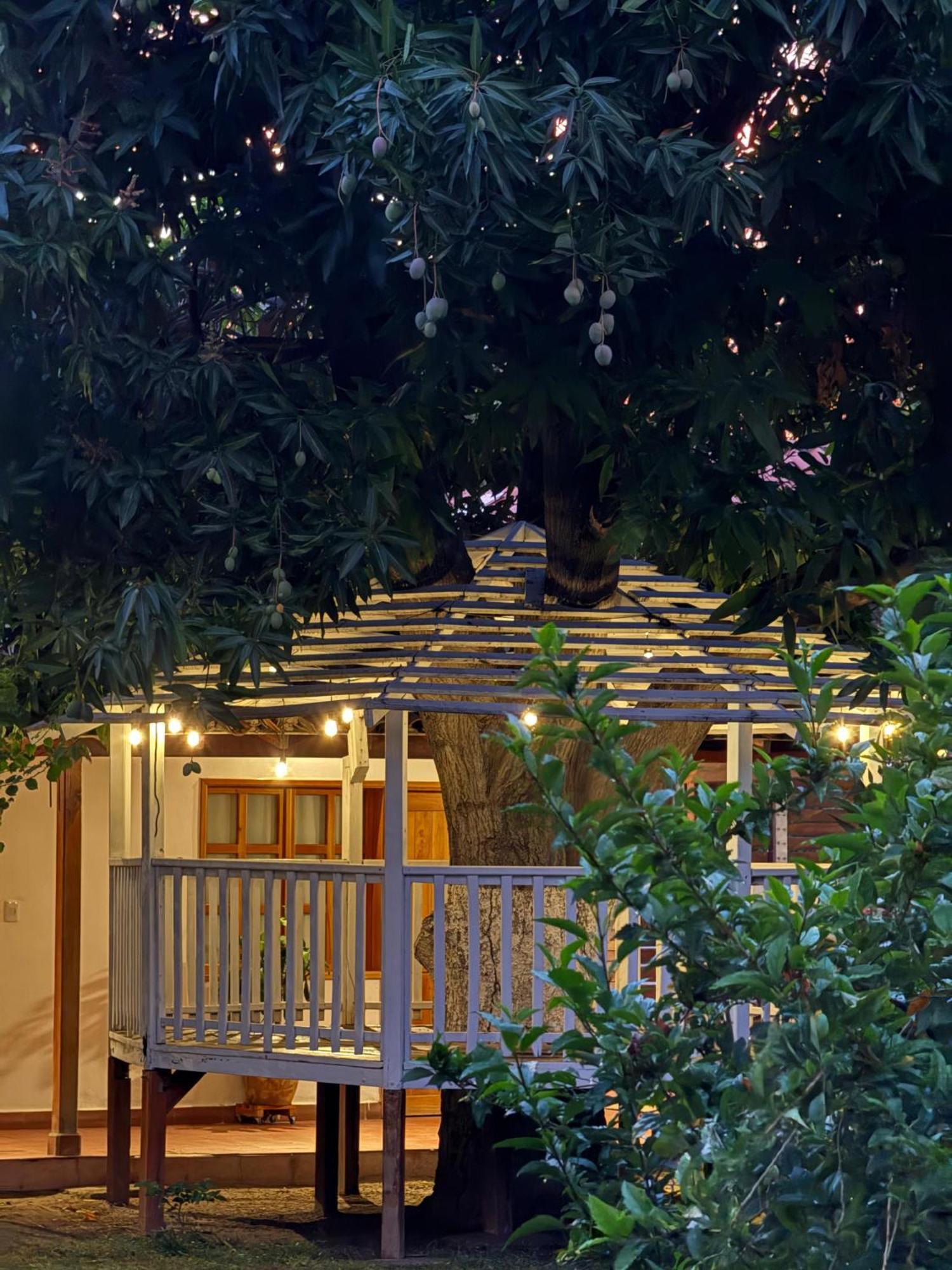 Hotel Jardin Boutique Rodadero Santa Marta  Ngoại thất bức ảnh