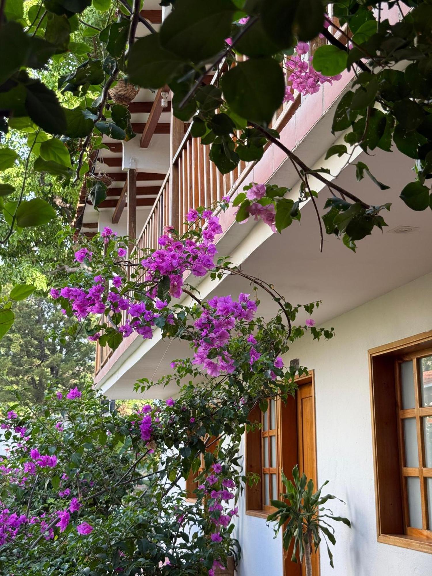 Hotel Jardin Boutique Rodadero Santa Marta  Ngoại thất bức ảnh
